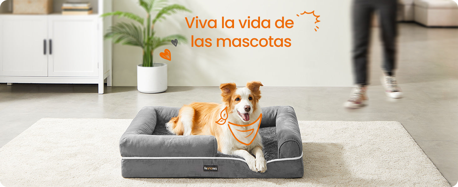 Cama Feandrea