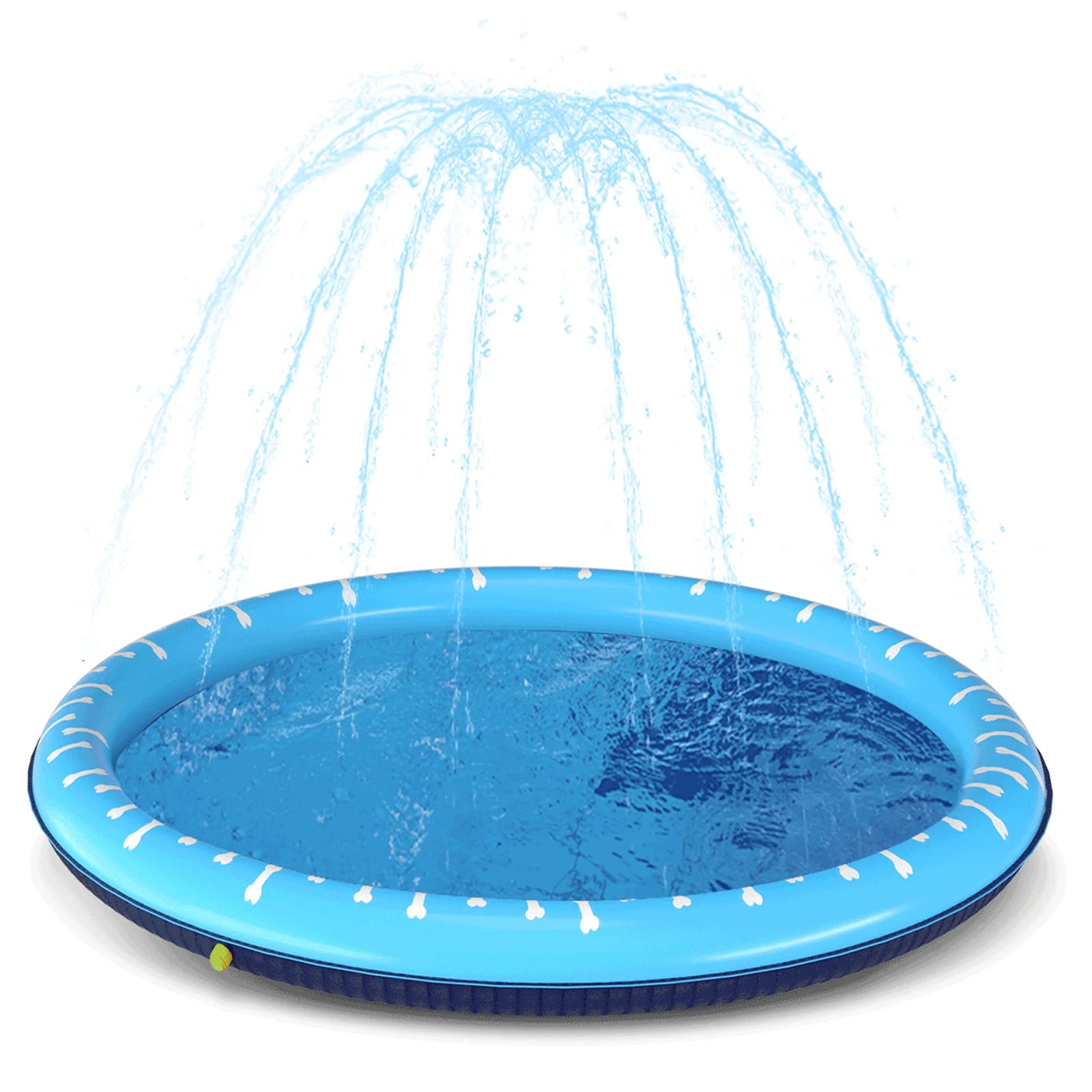 Piscina para perros