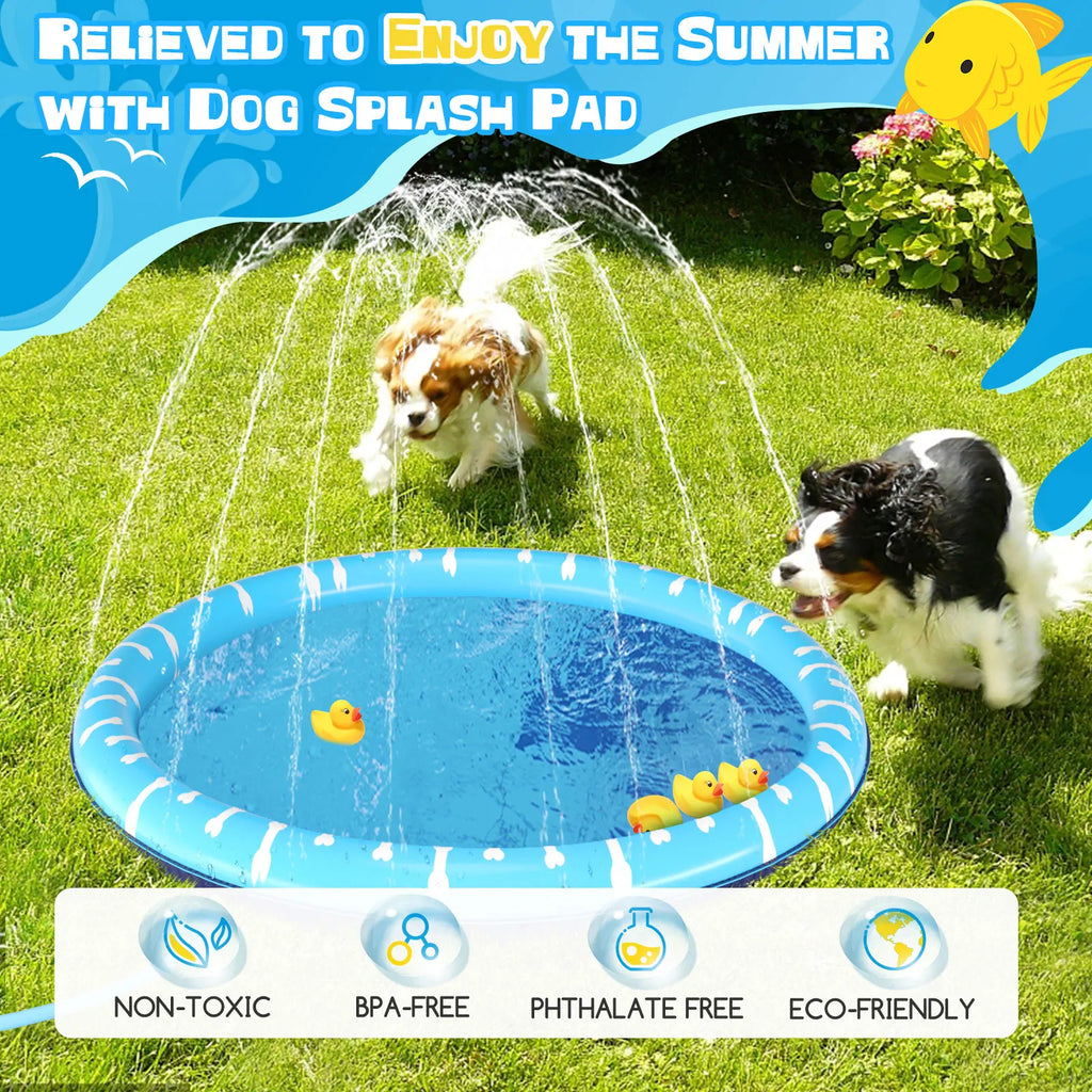 Piscina para perros