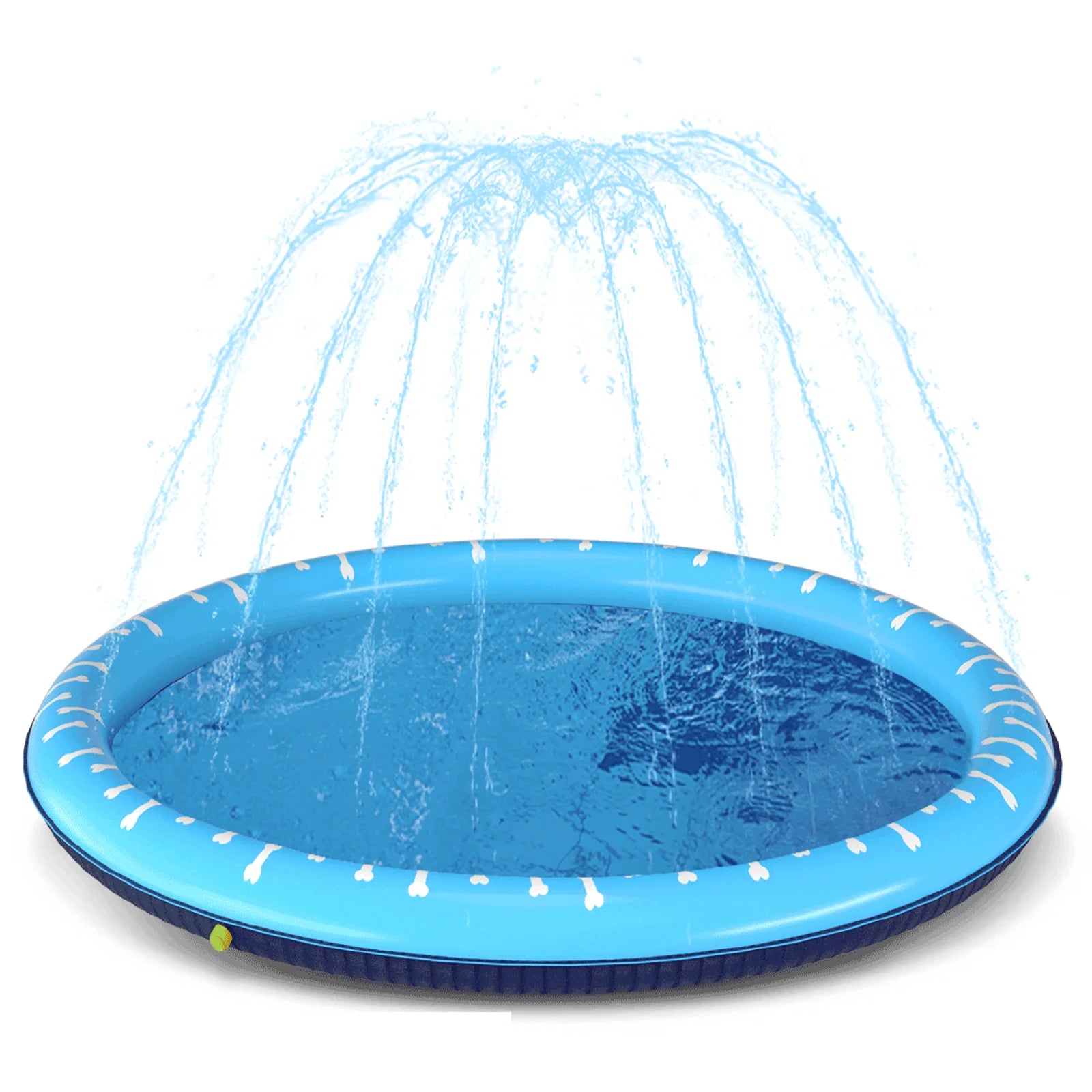 Piscina para perros