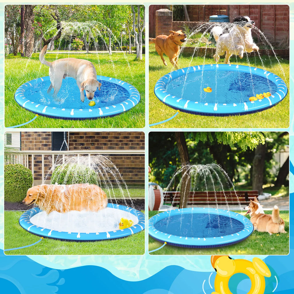 Piscina para perros