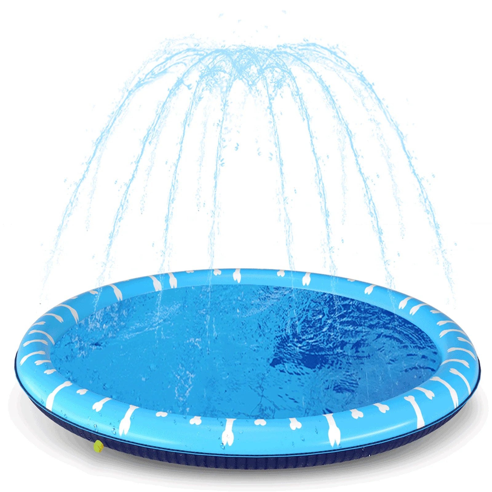 Piscina para perros