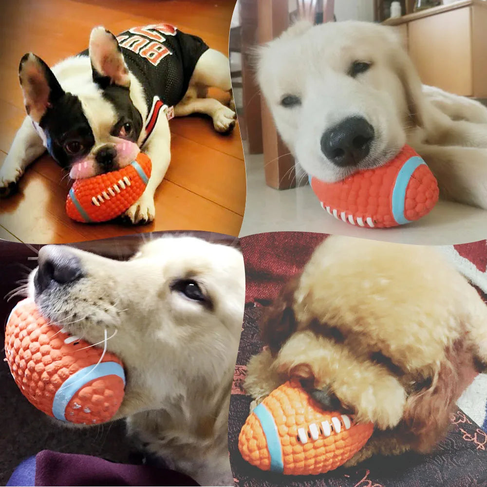 Pelotas de juguete para perros