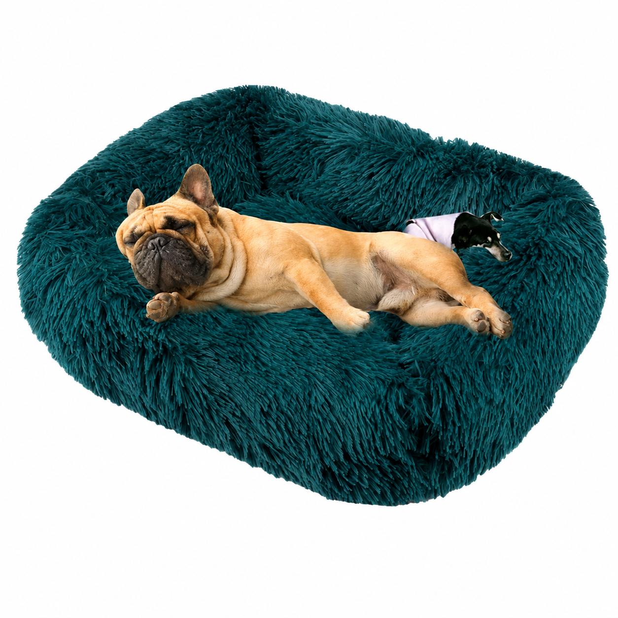 Cama Drako