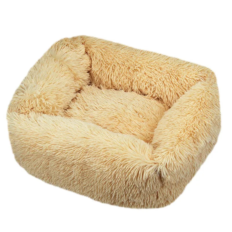 Cama Drako