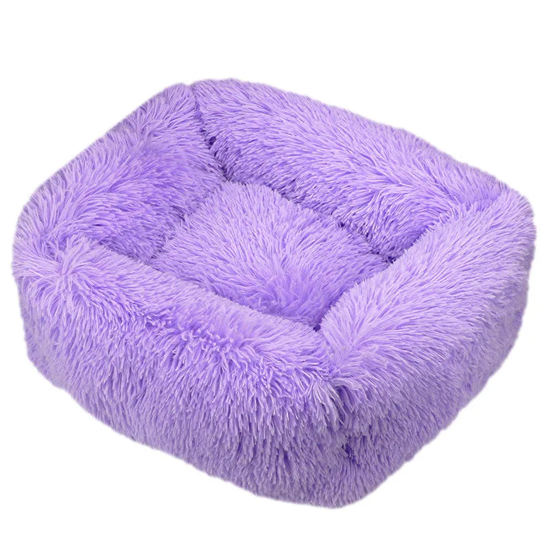 Cama Drako