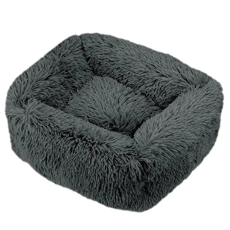 Cama Drako