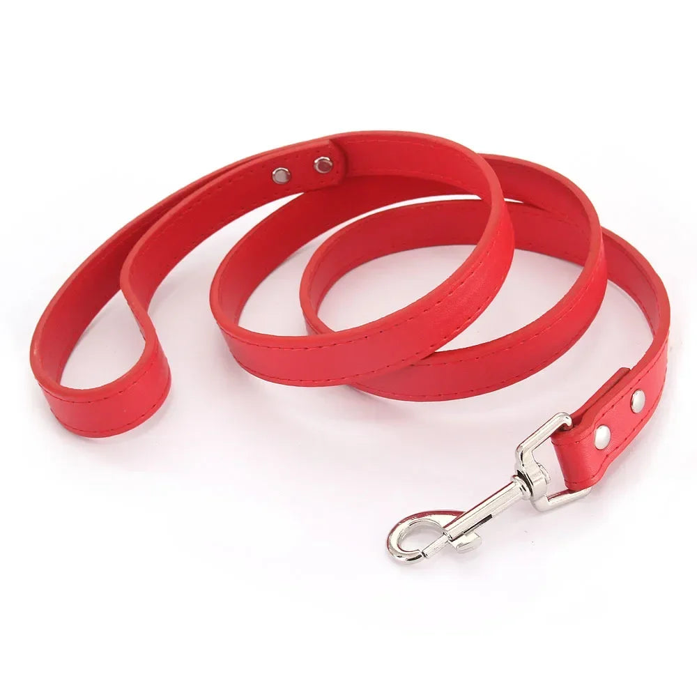 Correas de cuero para perros 1,2 M
