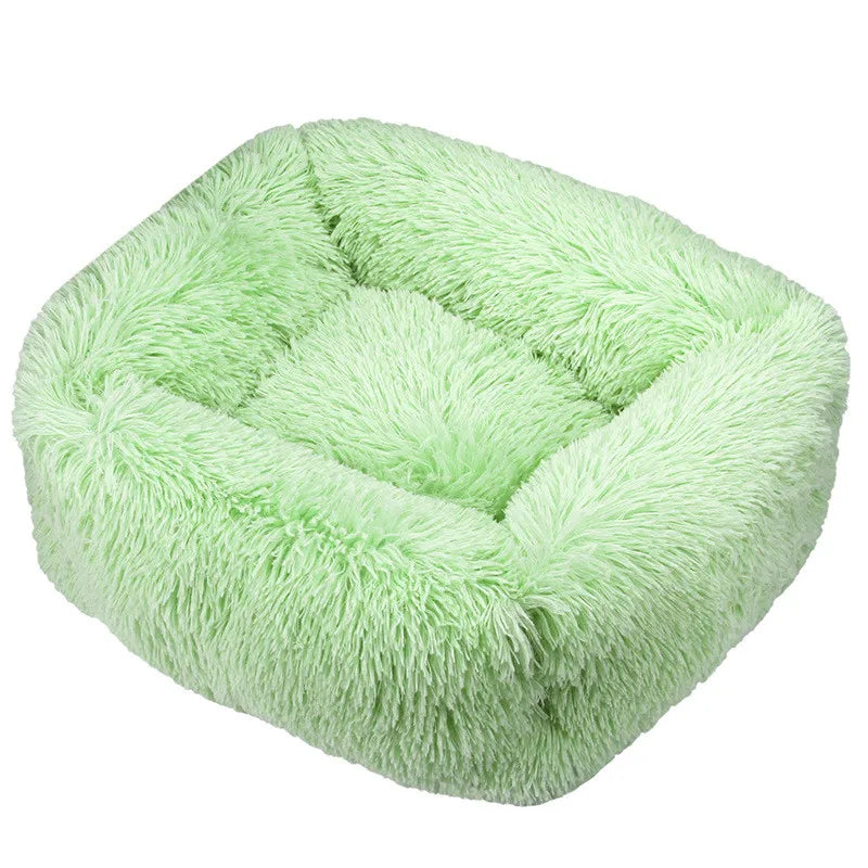 Cama Drako