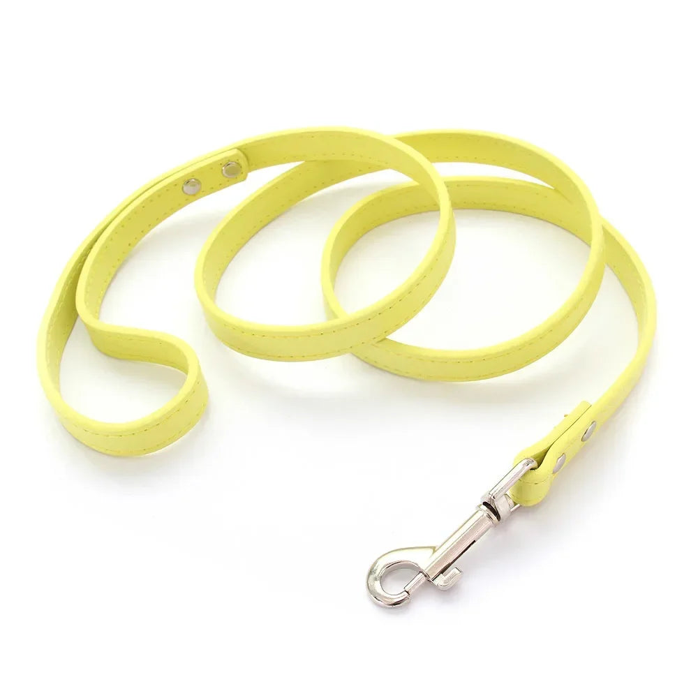 Correas de cuero para perros 1,2 M