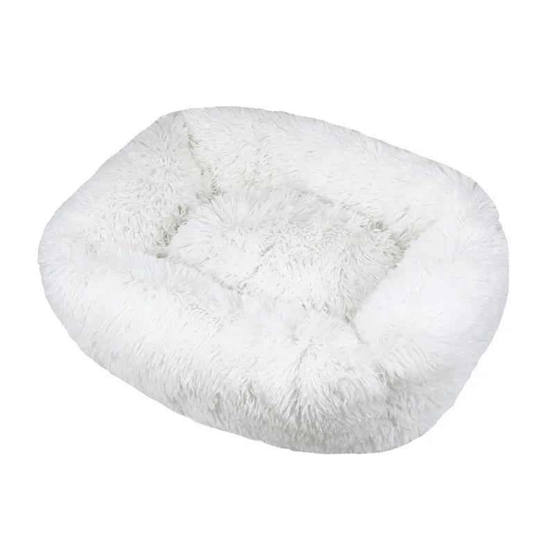 Cama Drako