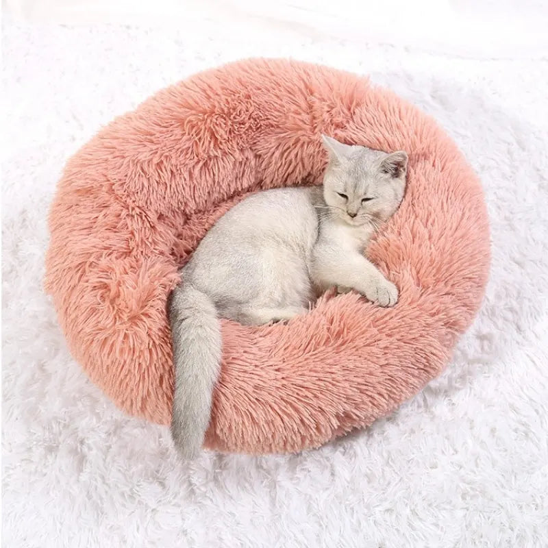 Cama Bimba