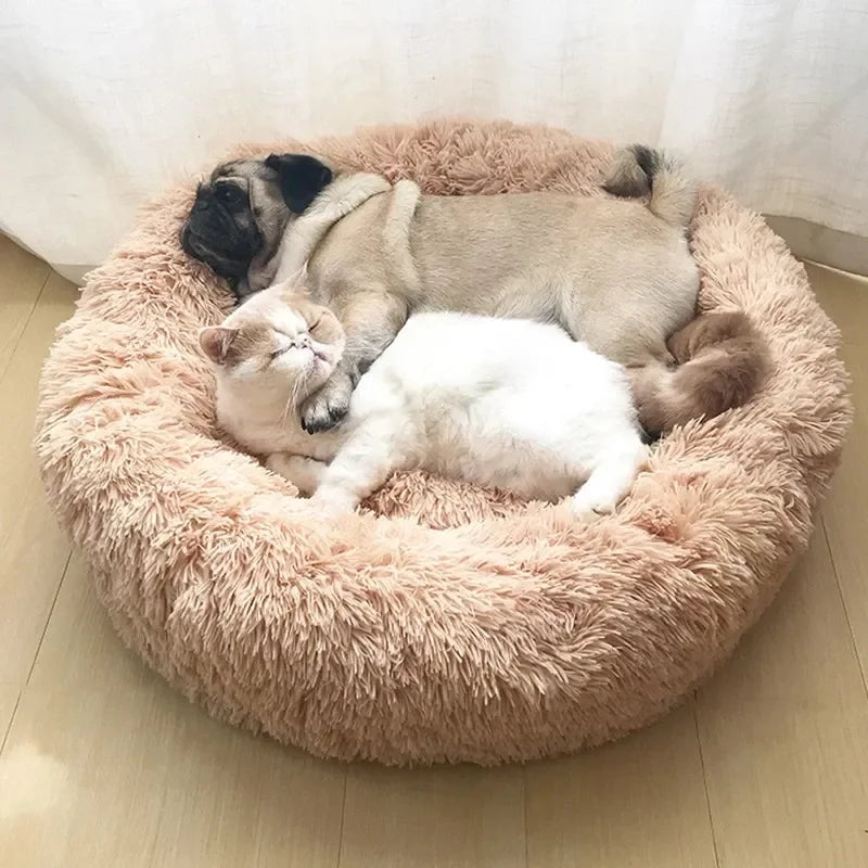 Cama Bimba