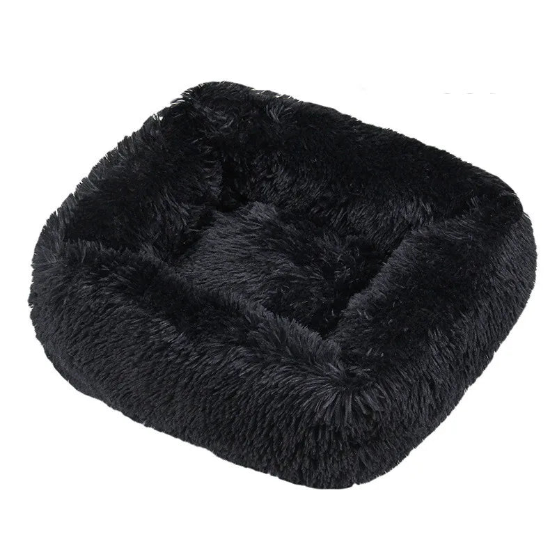 Cama Drako