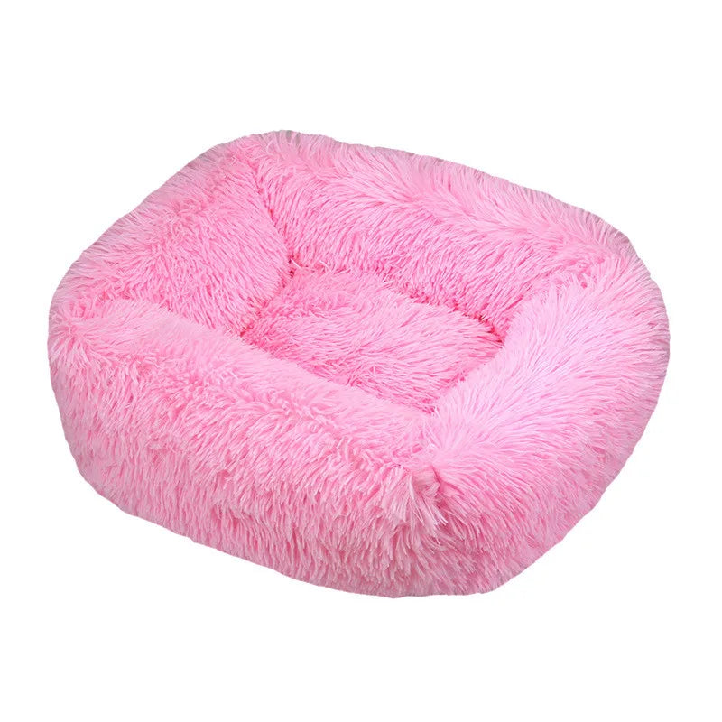 Cama Drako