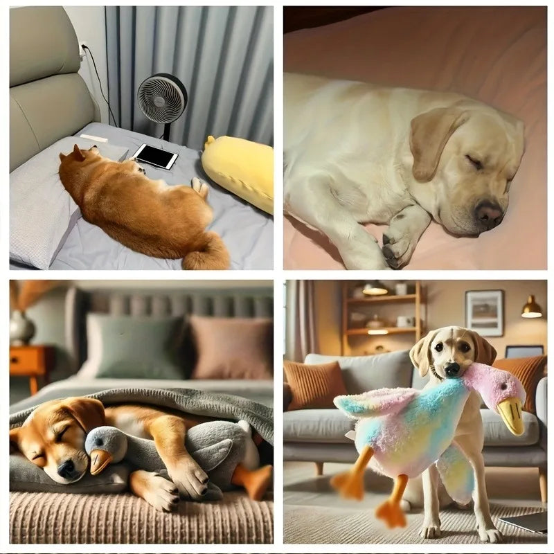 Peluche de pato para perro