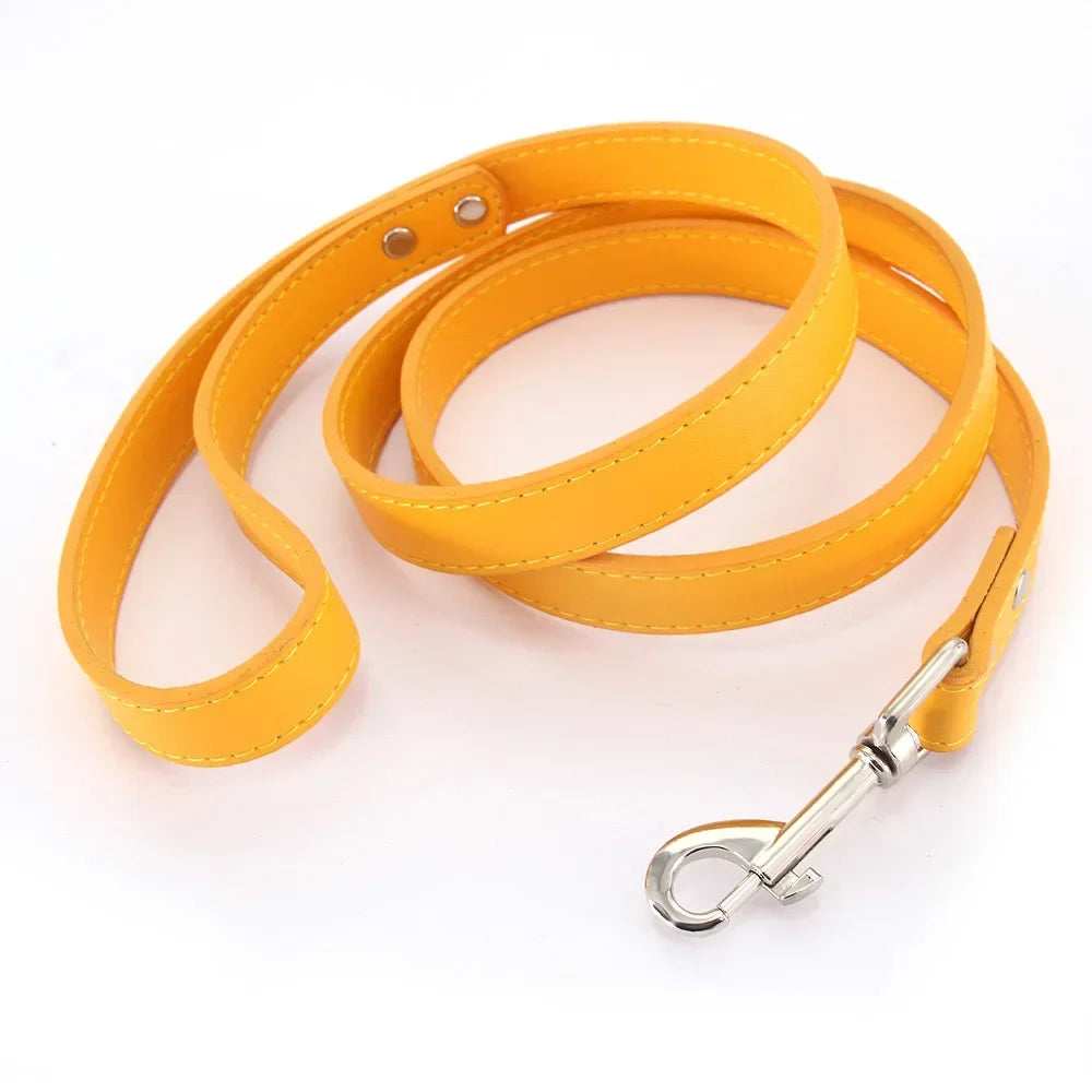 Correas de cuero para perros 1,2 M