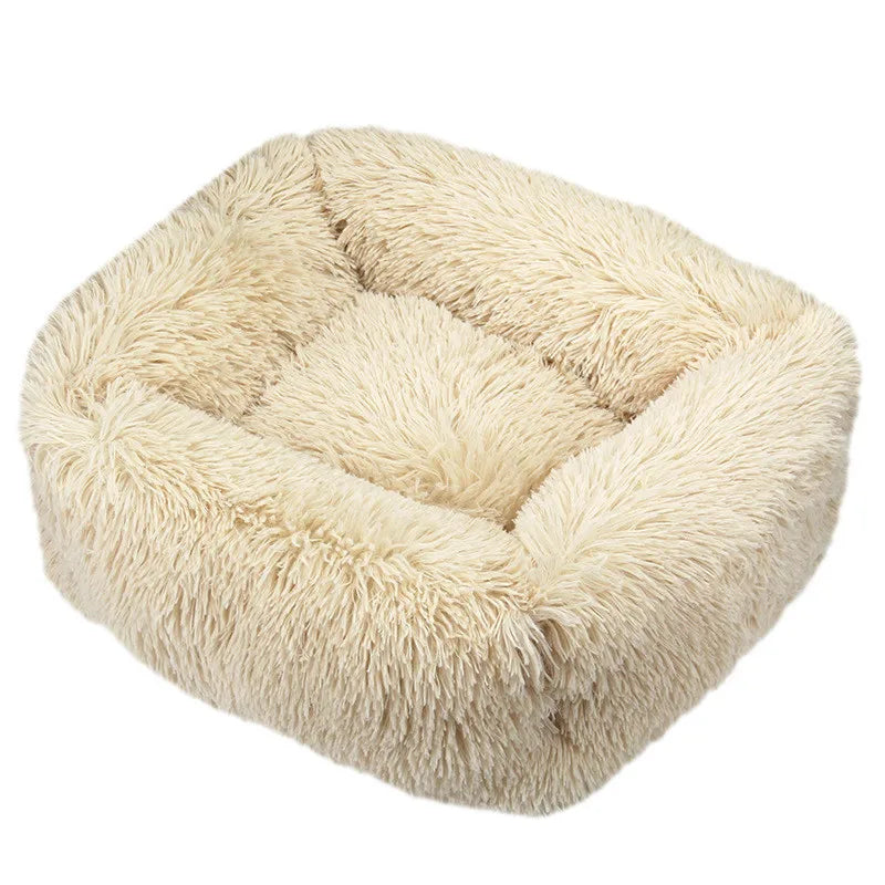 Cama Drako