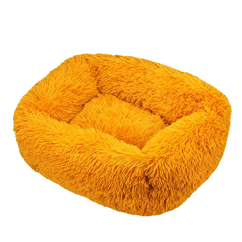 Cama Drako