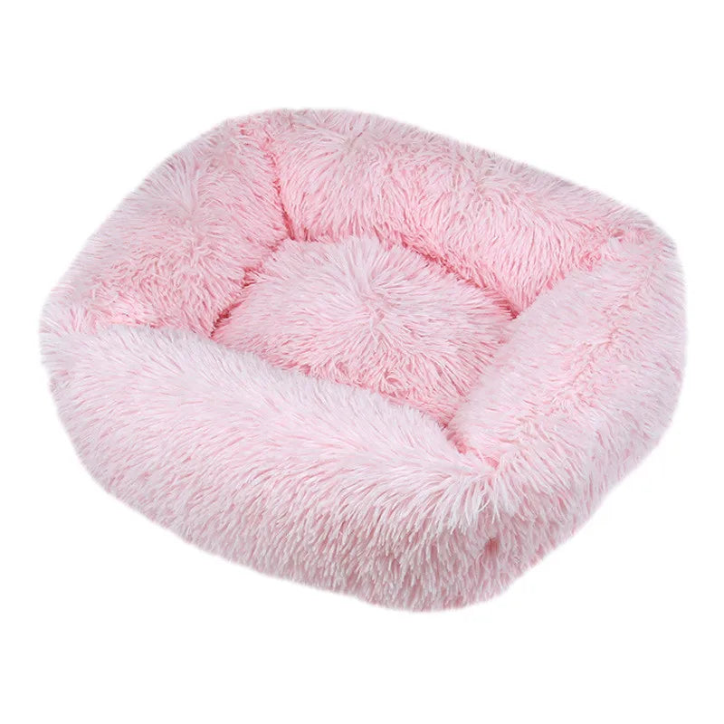 Cama Drako