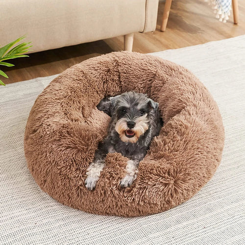 Cama Bimba