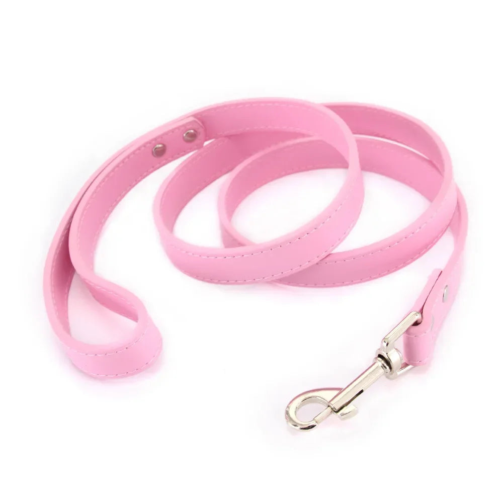 Correas de cuero para perros 1,2 M