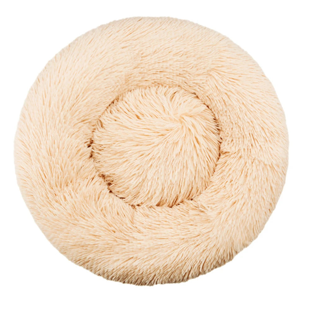 Cama Bimba