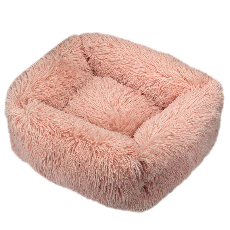 Cama Drako