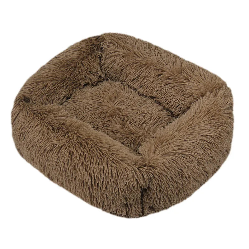 Cama Drako