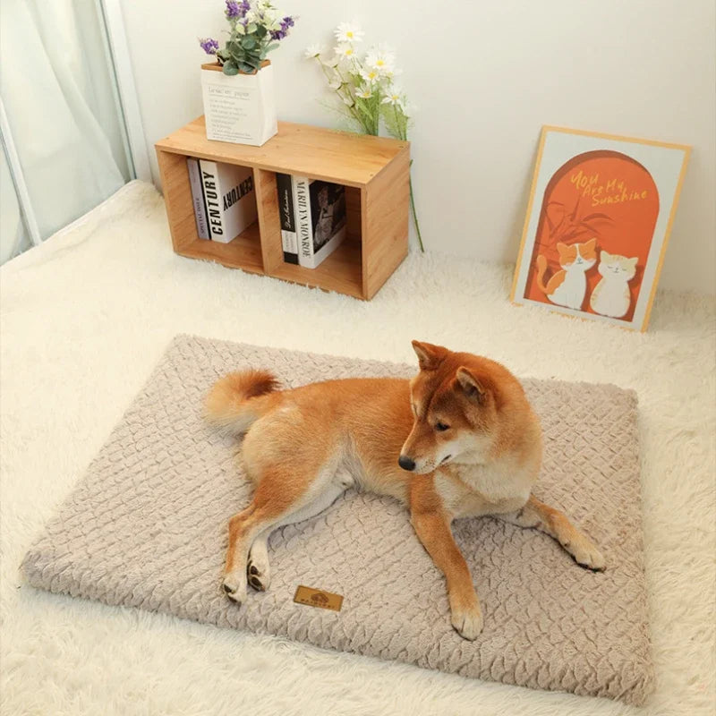 Cama Luna