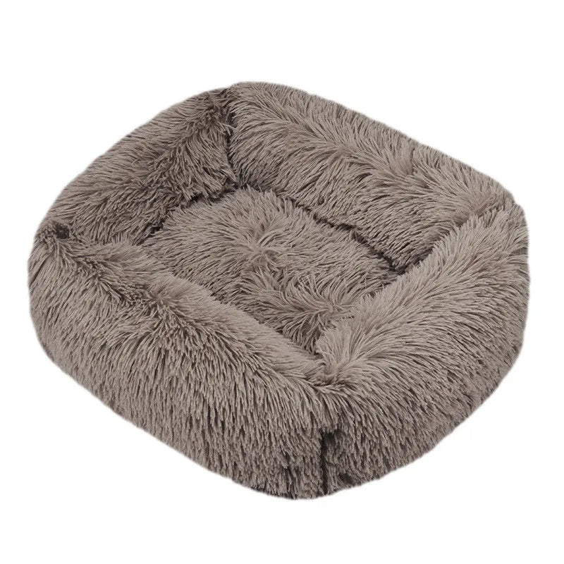 Cama Drako