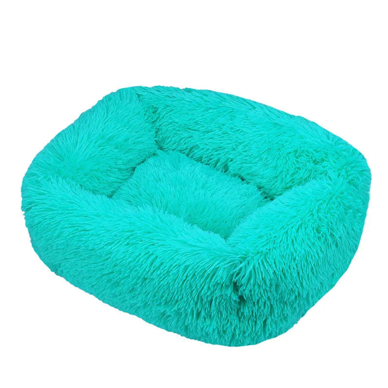 Cama Drako