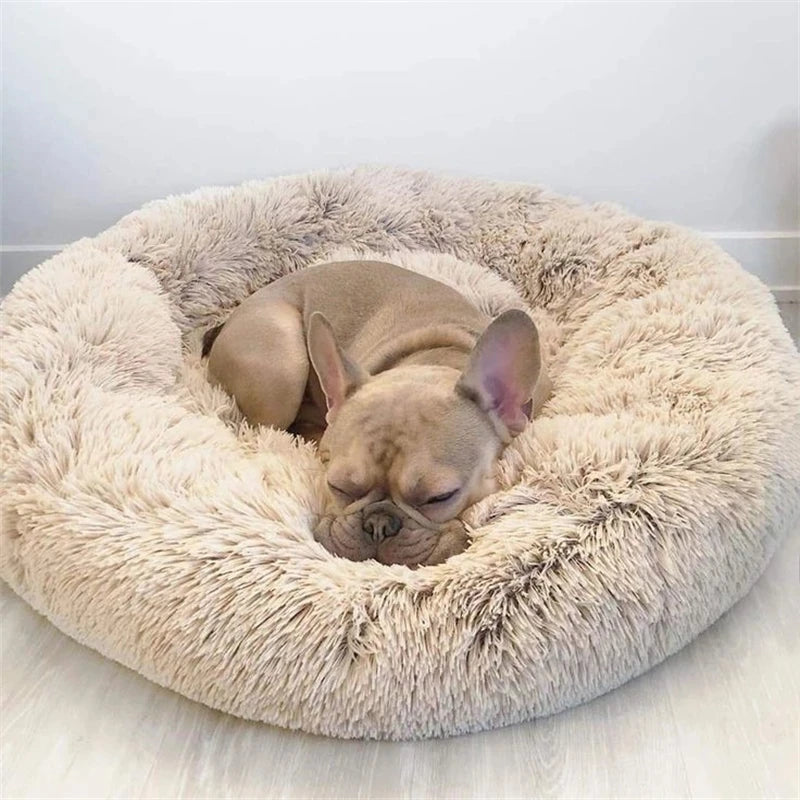 Cama Bimba