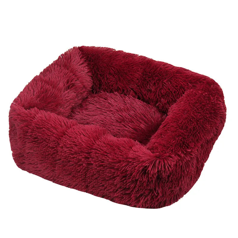 Cama Drako