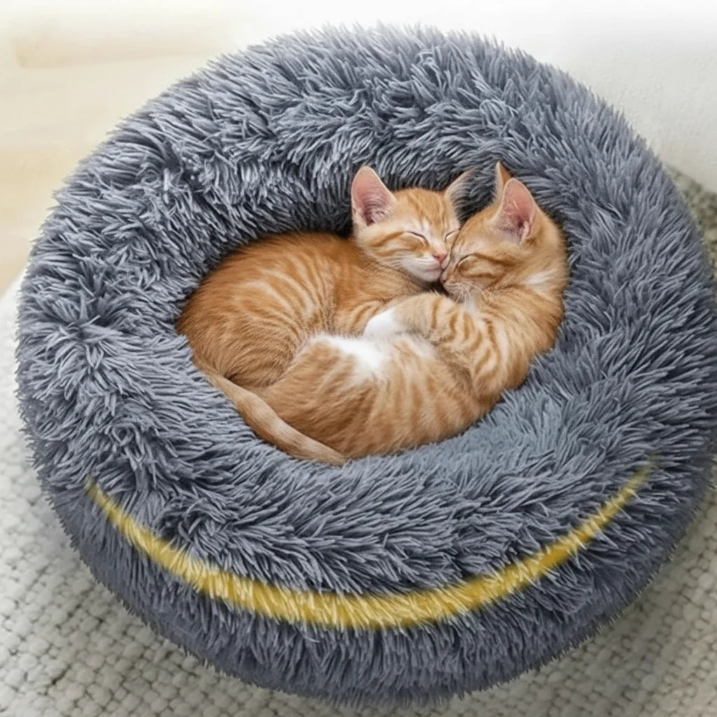 Cama Bimba