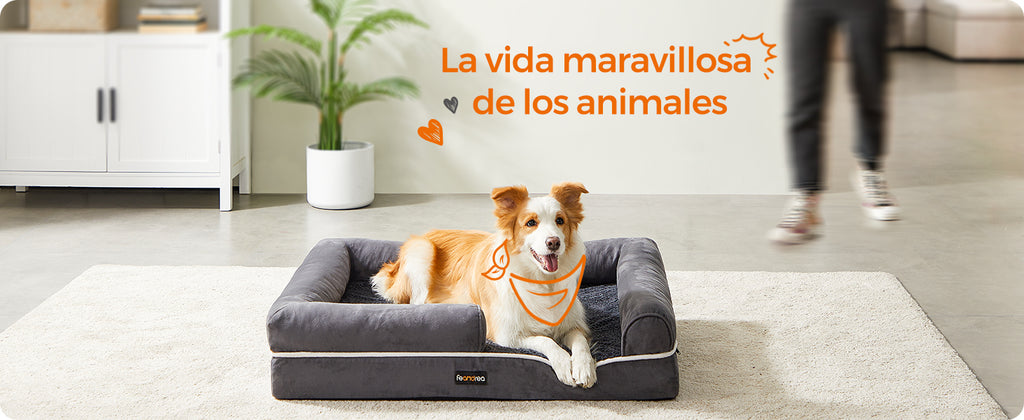 Cama Feandrea